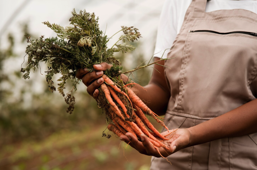 Fresh Harvest from IFAN Farmers