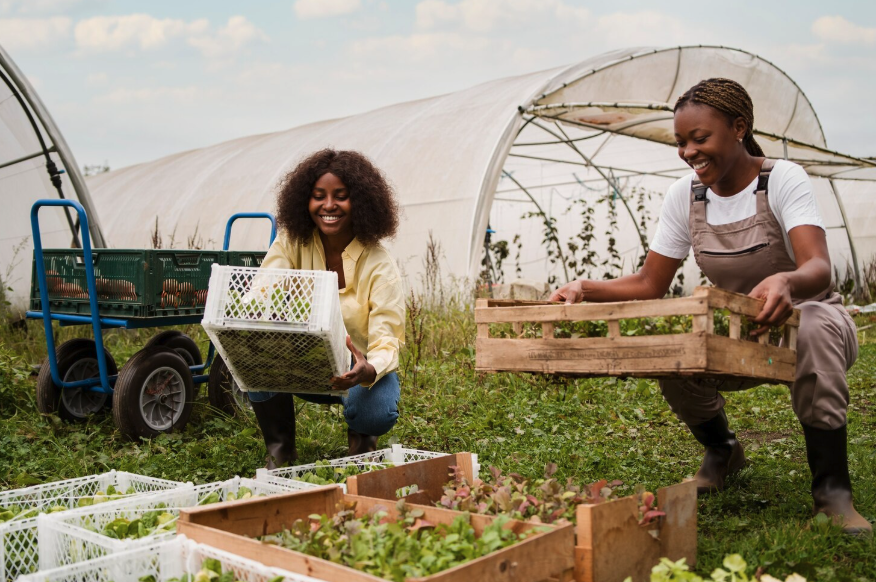 IFAN Farmers at Work